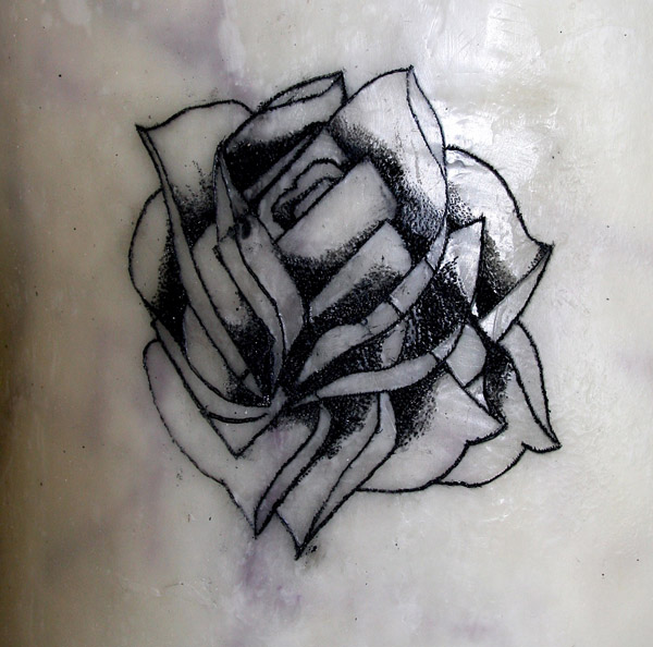 Markus Proschek - a rose...
